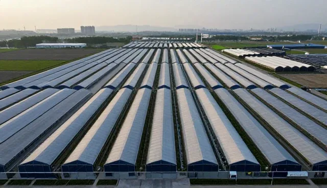 企业选型需关注核心价值与匹配度
